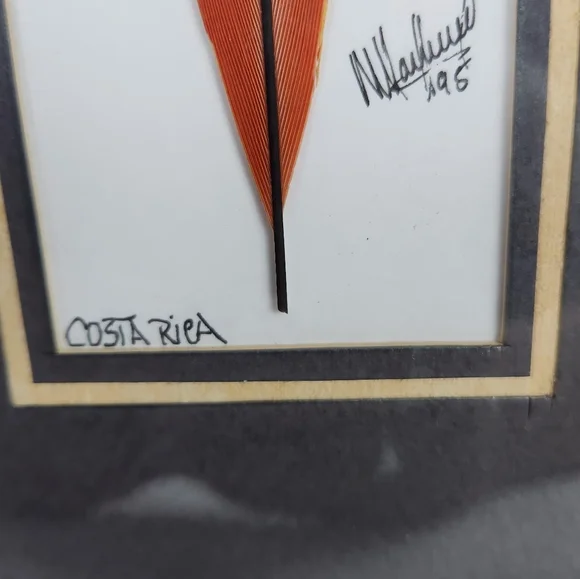 Costa Rica Hand Painted Feather Art Green PARROT Bird Lover Matted Framed 9x5 - Picture 3 of 6